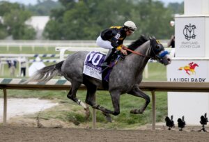Napoleon Solo was back to his brilliant best in the Preakness (Photo by Horsephotos.com)