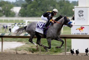 Napoleon Solo was back to his brilliant best in the Preakness (Photo by Horsephotos.com)