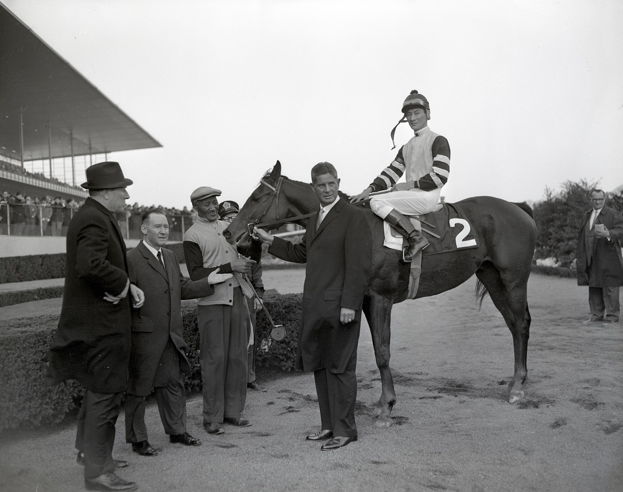 Roman Brother after capturing the 1965 Jockey Club Gold Cup (Photo by Coglianese Photos)