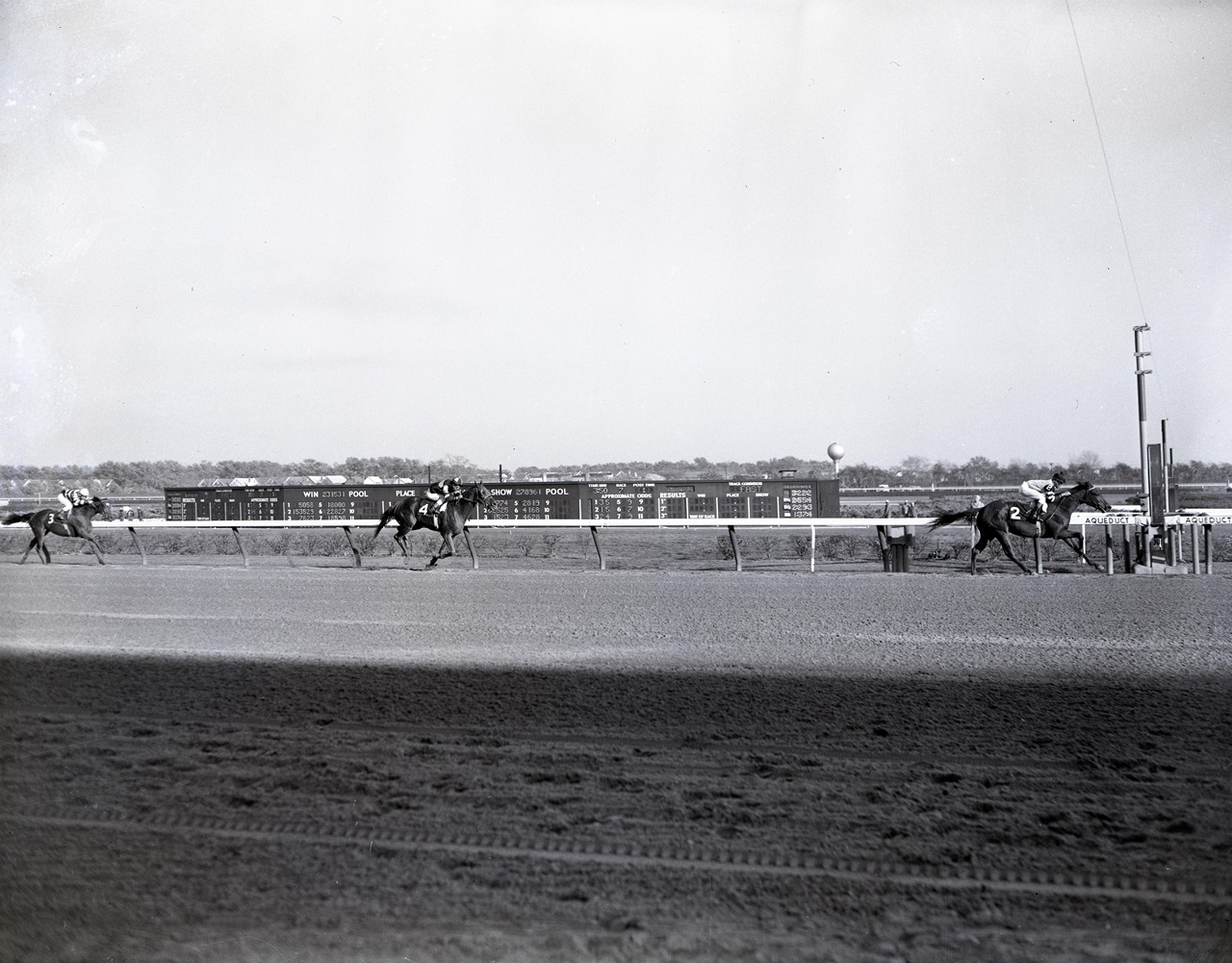 Roman Brother rolls in the 1965 Jockey Club Gold Cup (Photo by Coglianese Photos)
