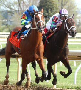 The Hell We Did is the runner up in the Lexington to winner Trendsetter. 