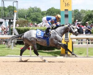 Forged Steel wins at Oaklawn Park. 