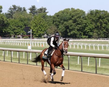 Renegade shown training for the 2026 Belmont Stakes