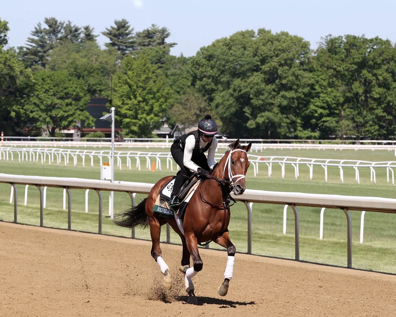 Renegade shown training for the 2026 Belmont Stakes