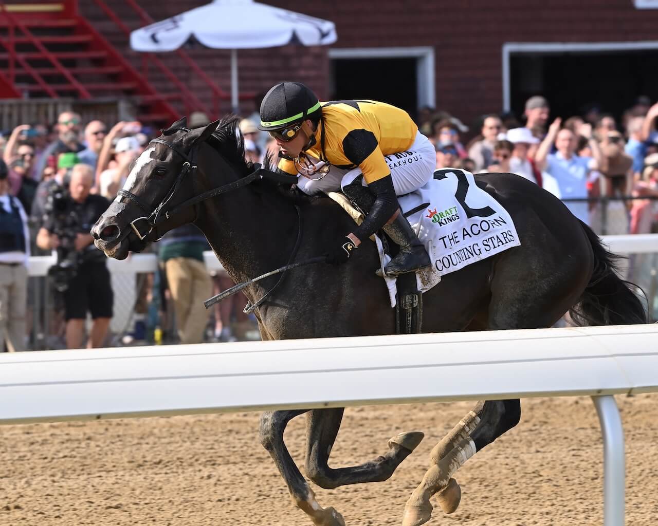 Counting Stars wins the Acorn Stakes at Saratoga.
