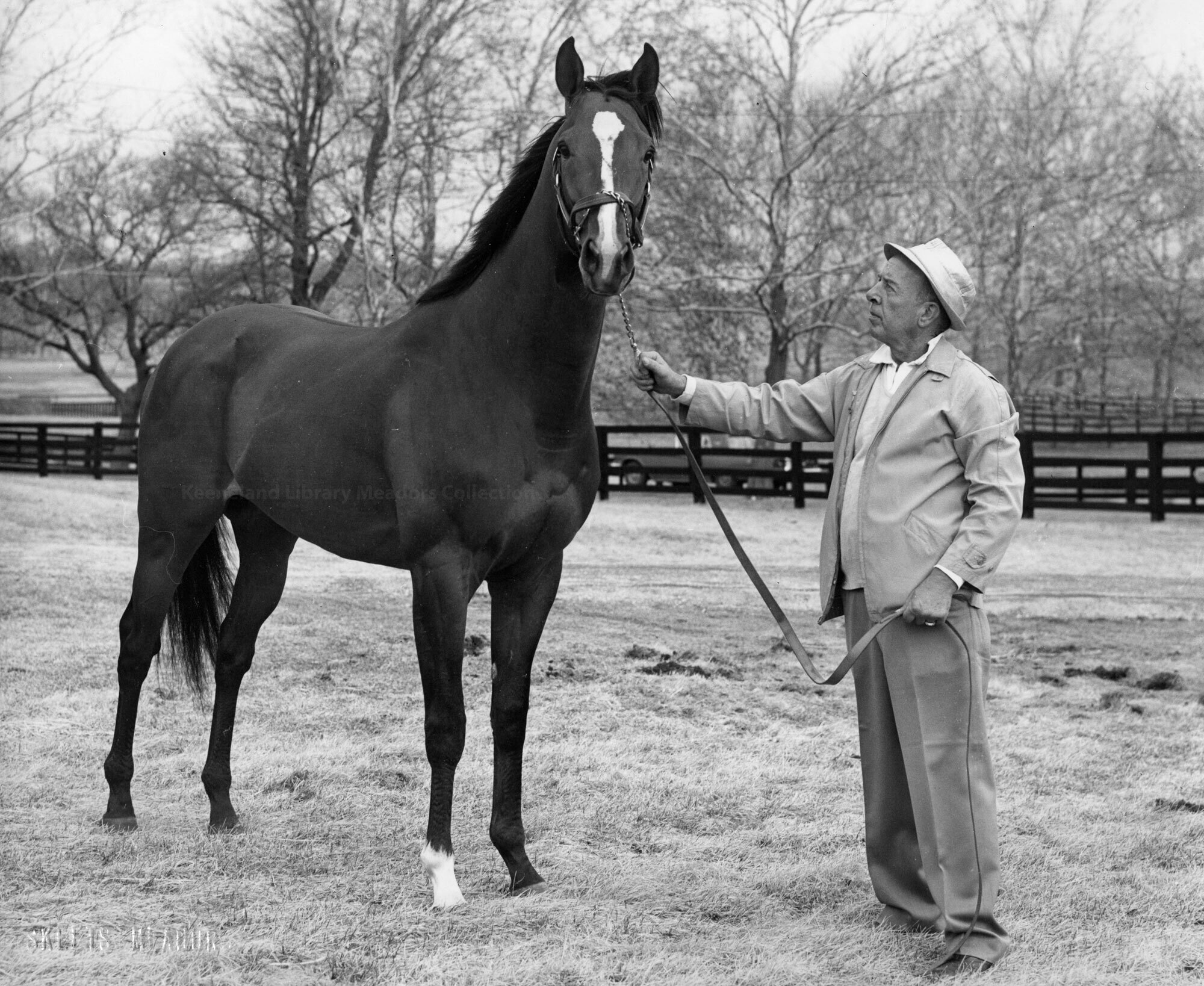 Ridan's arrival at Clairborne Farms in 1963 with Henry Gervais.