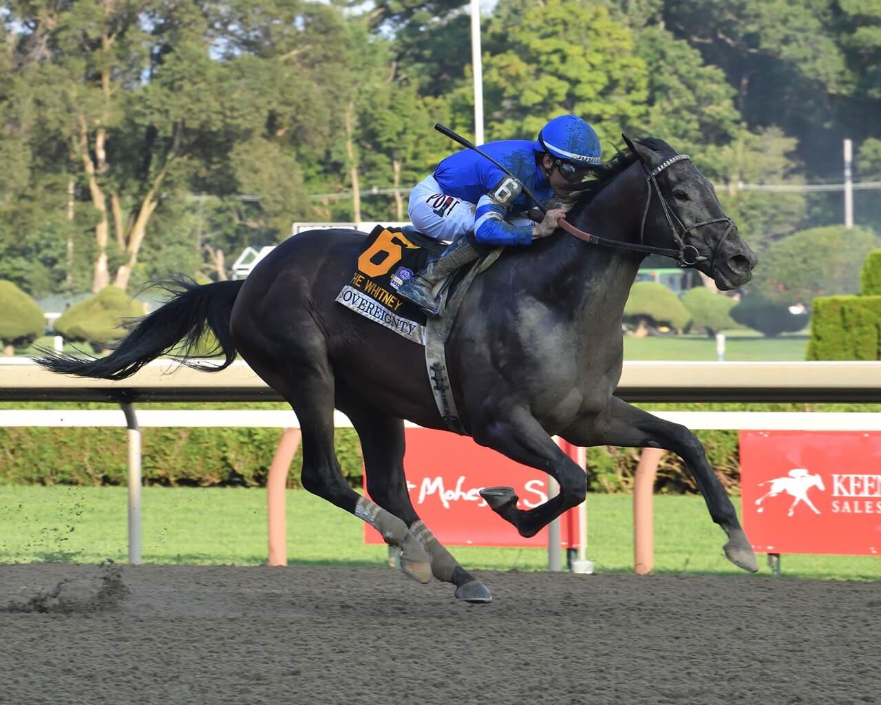 Sovereignty romps in the Whitney (G1)