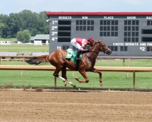 Antivenom wins at Ellis Park. 