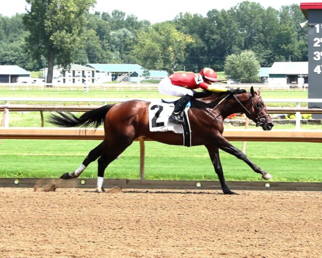 Caribbean Life wins at Ellis Park.