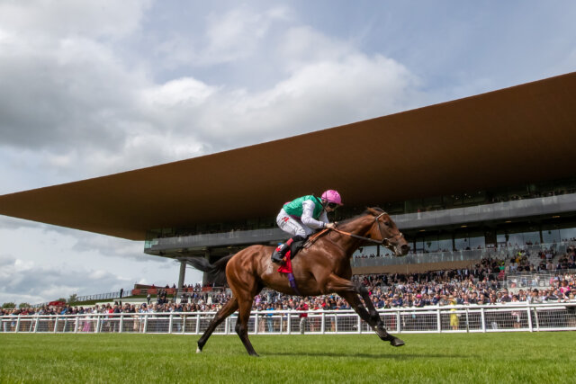 The Curragh Racecourse