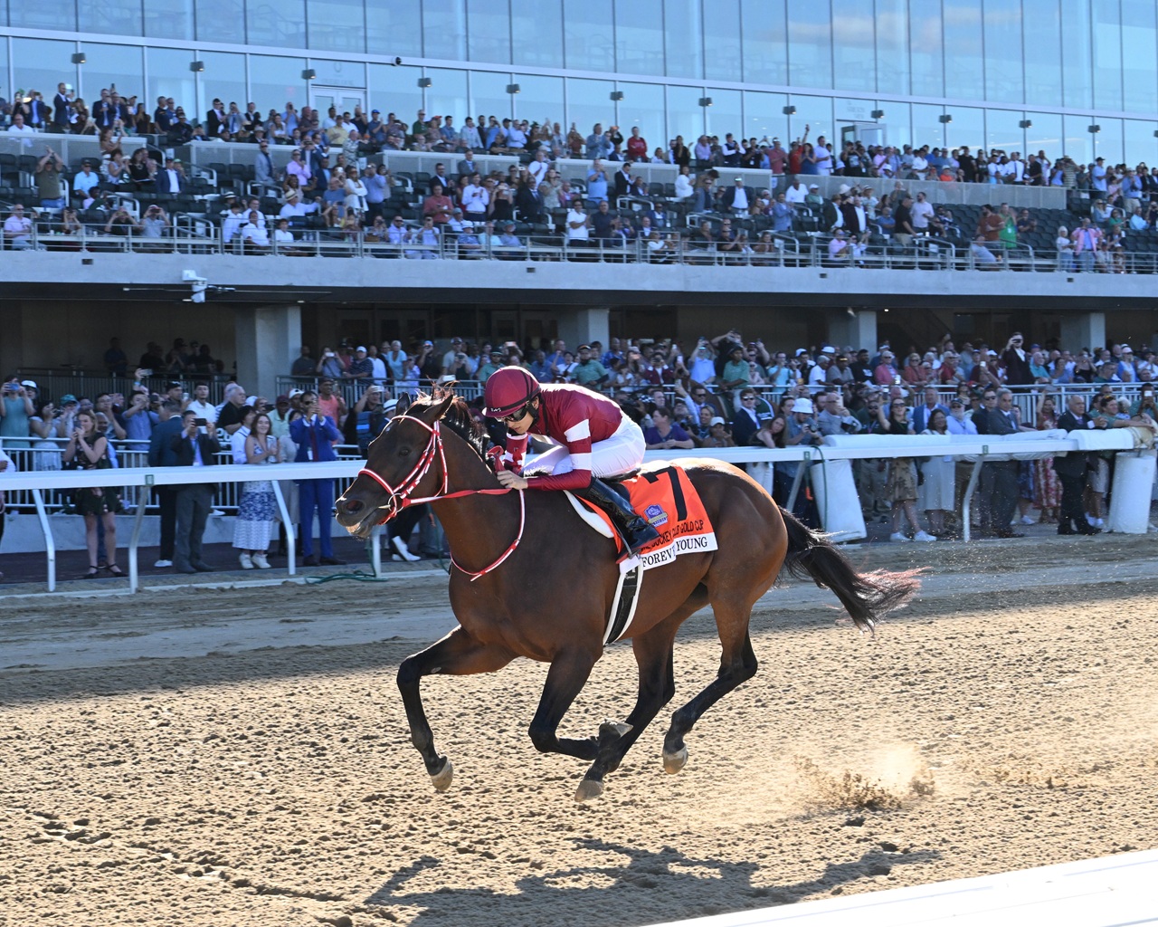 Forever Young wins the Jockey Club Gold Cup (G1) on opening day at the new Belmont Park