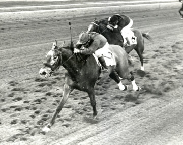 Native Street winning the second division of the Jasmine S. at Hialeah in 1966