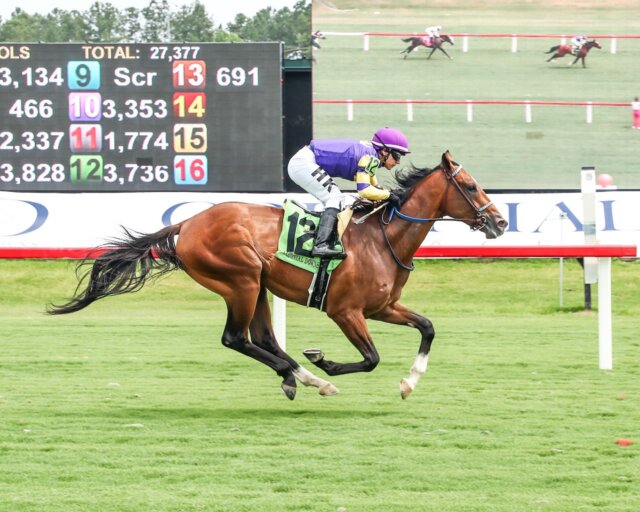 Real Goodbar wins at Colonial Downs.