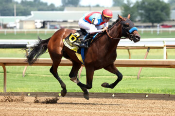 Salahudin wins the Ellis Park Juvenile Stakes at Ellis Park.