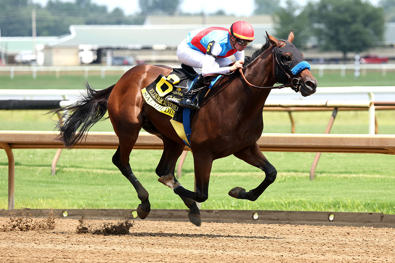 Salahudin wins the Ellis Park Juvenile Stakes at Ellis Park.