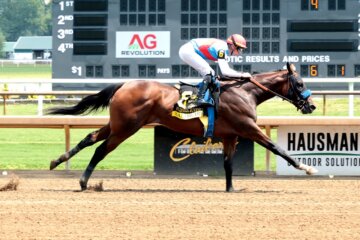 Salahudin wins the Ellis Park Juvenile (Photo by Coady Media)