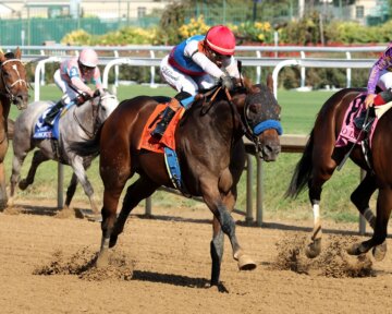 Salahudin captured the Iroquois (G3) to kick off the Road to the Kentucky Derby (Photo by Coady Media)