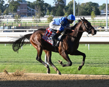 Card Man wins at Belmont Park.