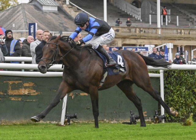 Giant Sequoia rebounded in the Futurity Trophy (Photo courtesy of Doncaster Racecourse)