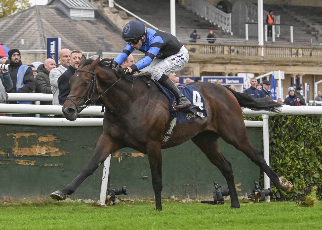 Giant Sequoia rebounded in the Futurity Trophy (Photo courtesy of Doncaster Racecourse)