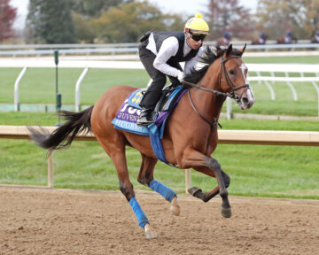 Hughes exercises at Keeneland ahead of the Breeders' Cup Juvenile