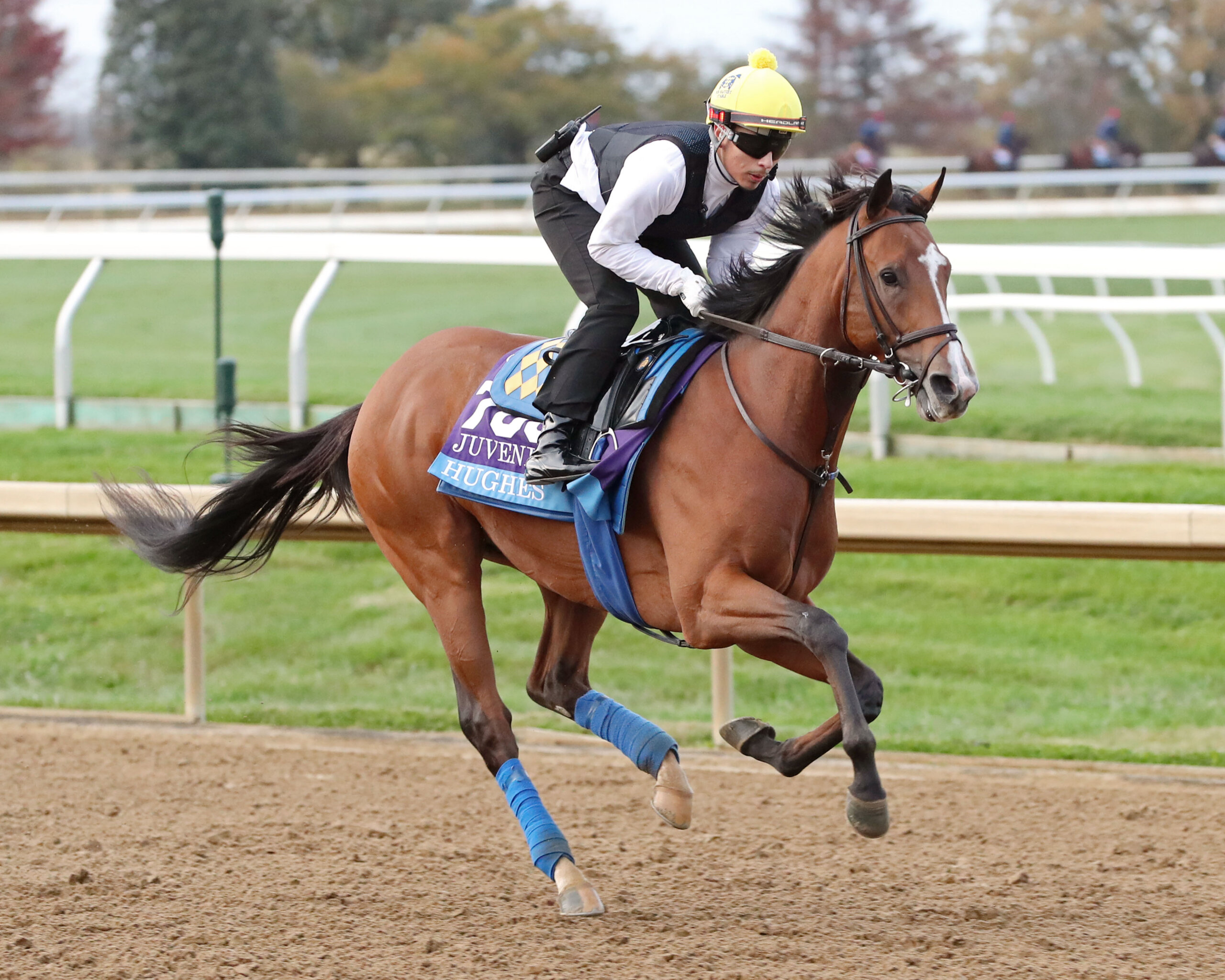 Hughes exercises at Keeneland ahead of the Breeders' Cup Juvenile
