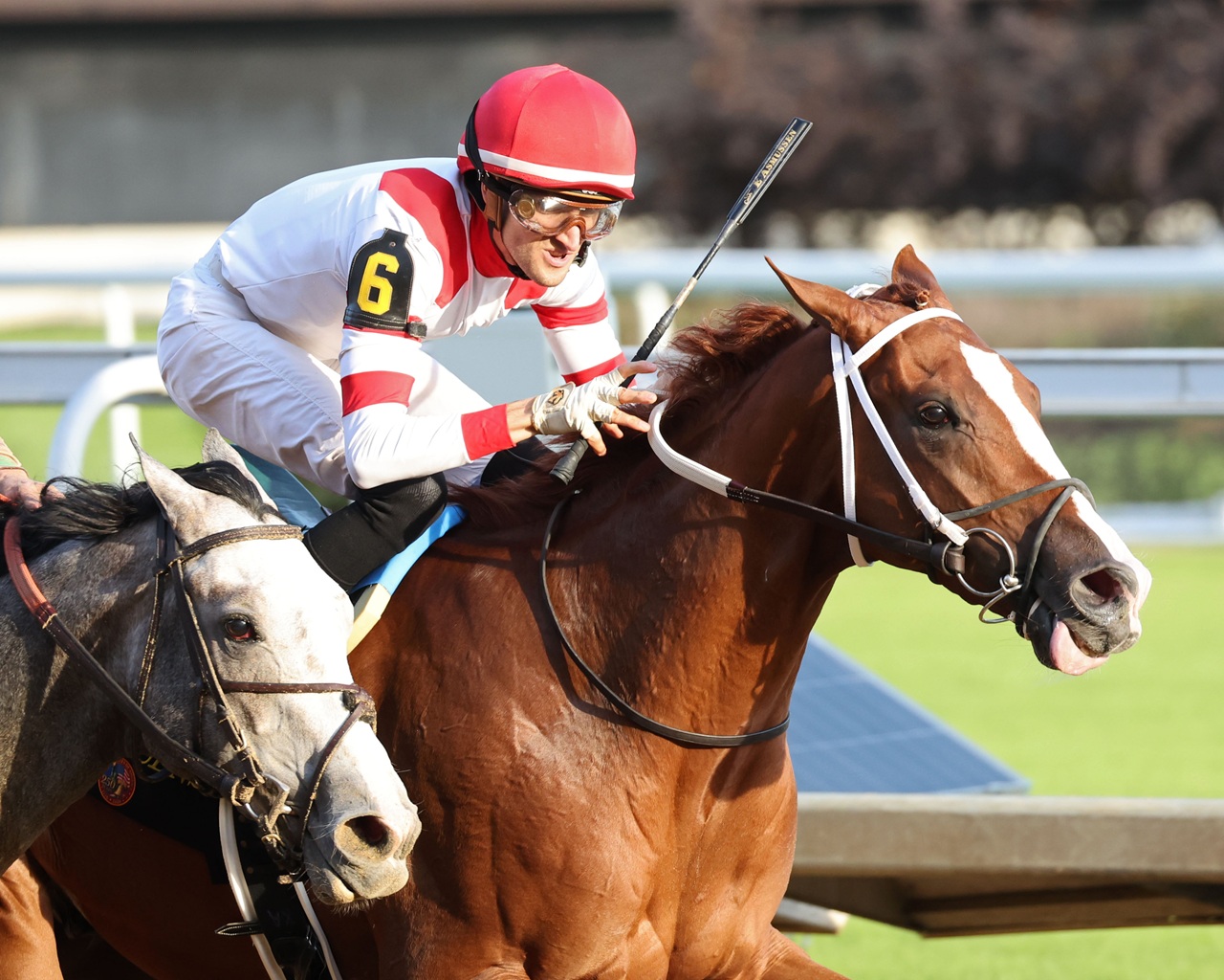Jas wins the Street Sense (G3) at Churchill Downs