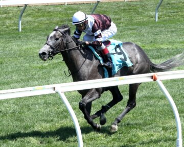 Luster wins at Keeneland.