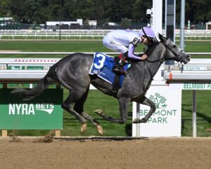 Mercury Marauder wins at Belmont Park. 