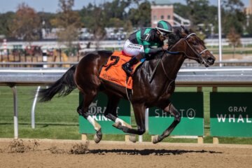 Mystik Bayou wins at Belmont Park.