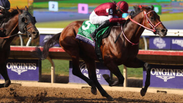 Kentucky Derby alumni Forever Young winning the 2025 Breeders' Cup Classic.