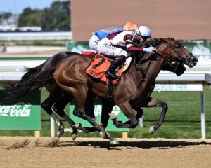Mioruilt wins at Belmont Park. 