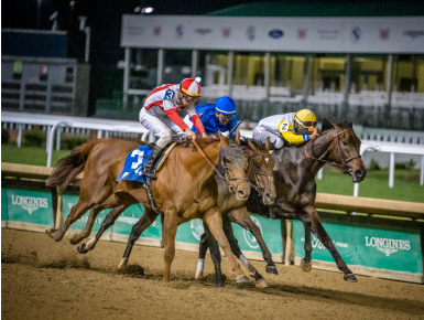 visit the kentucky derby