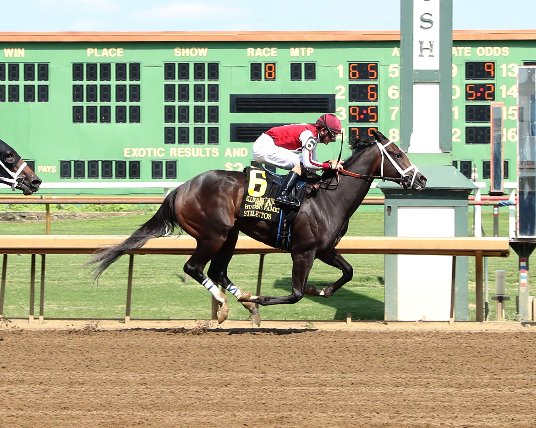 Churchill Downs Update Calhoun Hopes Texasbred Stilletos Can Continue