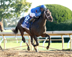 ビジネス・経済 HIT WIN VICTORY II OF HORSE RACE Japanese Champion