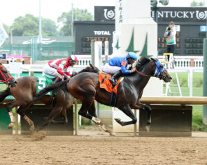 EAST-AVENUE-The-Matt-Winn-G3-